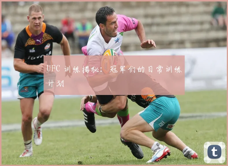 UFC 训练揭秘：冠军们的日常训练计划