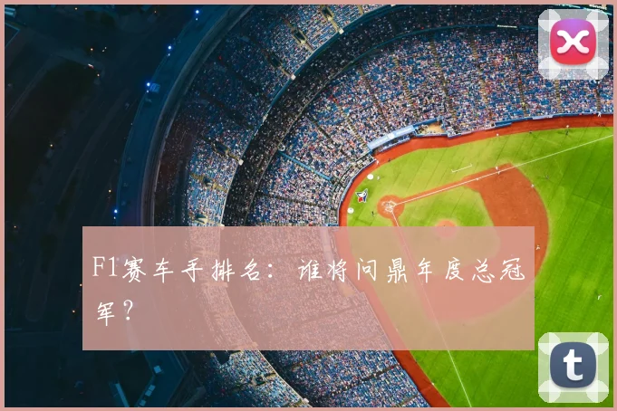 F1赛车手排名：谁将问鼎年度总冠军？