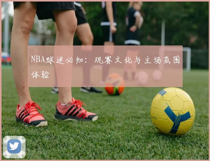 NBA球迷必知：观赛文化与主场氛围体验