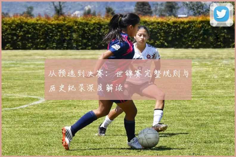从预选到决赛：世锦赛完整规则与历史纪录深度解读